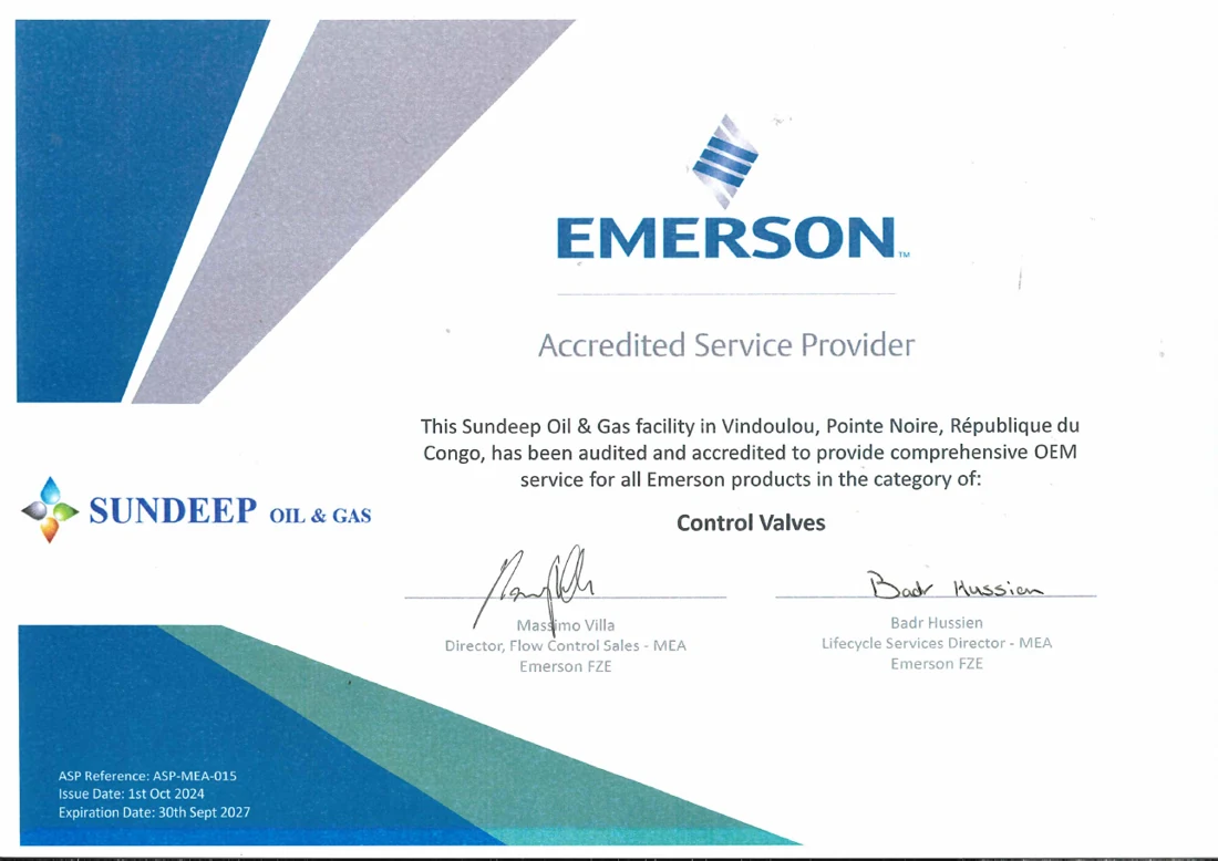 Emerson Accredited Service Provider · Control valves