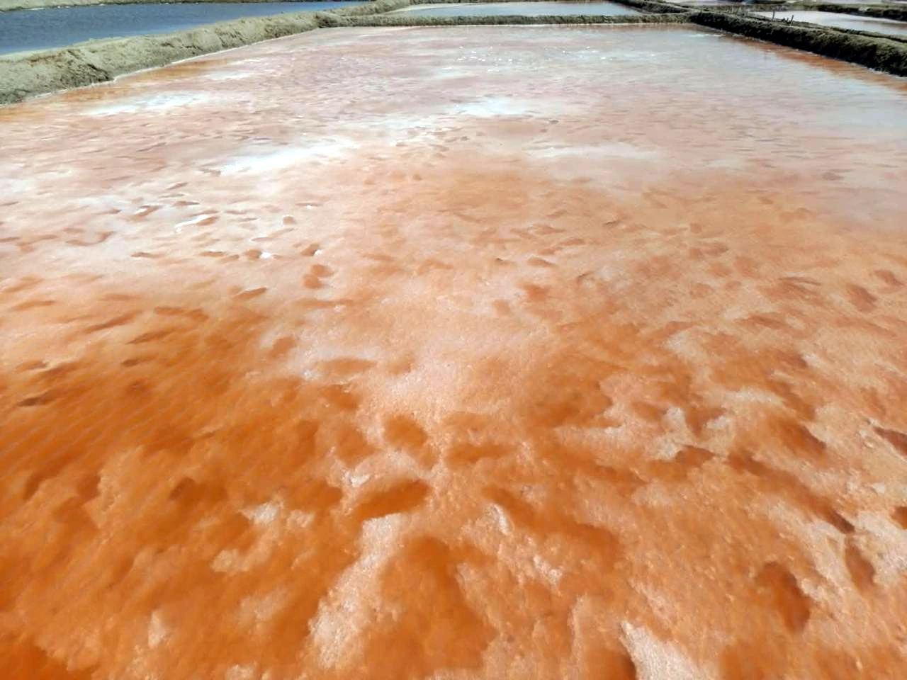 Crystallised salt · Salt farm, Luanda